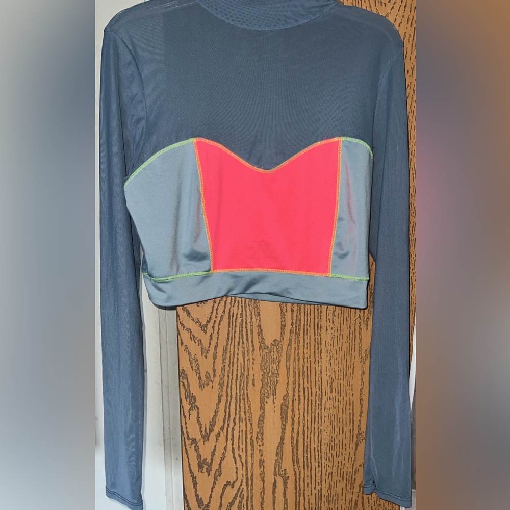 sheer/mesh long sleeve 2 piece